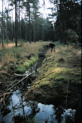 plattenmoos-2
